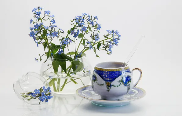 Flowers, background, Cup