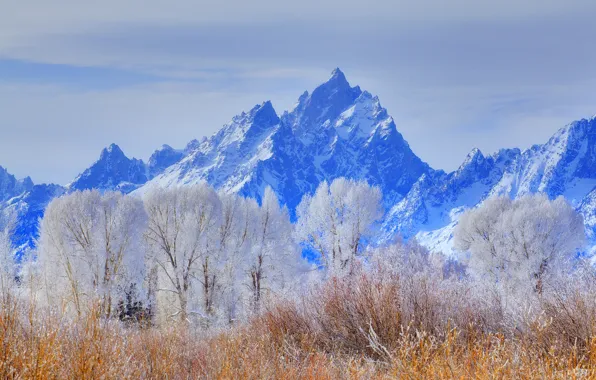 Picture winter, frost, the sky, snow, trees, mountains, USA, Wyoming