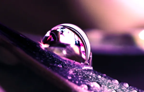 Picture water, droplets, lilac, drop, Sheet