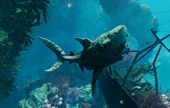 Algae, fish, shark, under water, Maneater
