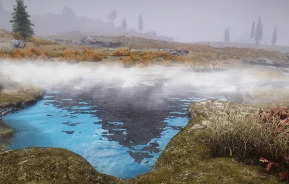 Grass, fog, lake, spruce, grass, lake, fog, skyrim