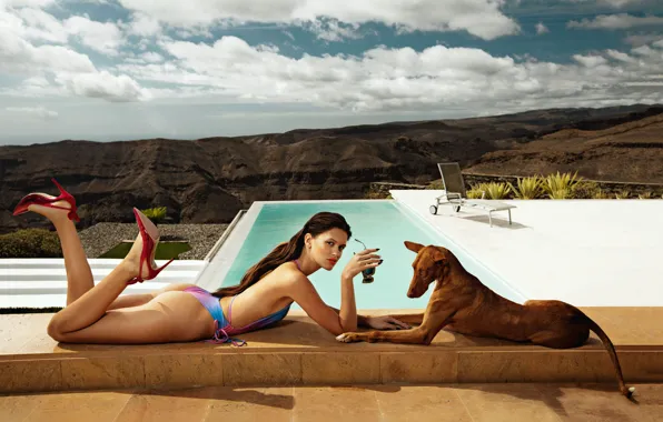 Picture Girl, Dog, Pool, Swimsuit, Two, Swimwear, Summer fashion, Eva Sanchez