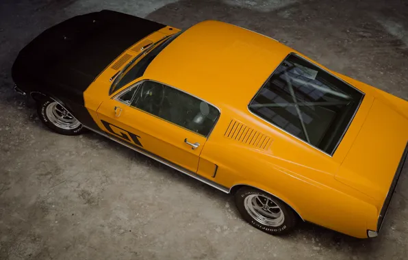 Ford, classic, 1968, Mustang GT, Andreas Ezelius