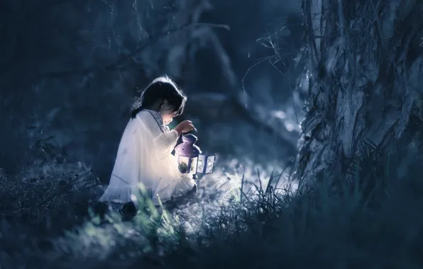 Picture forest, night, girl