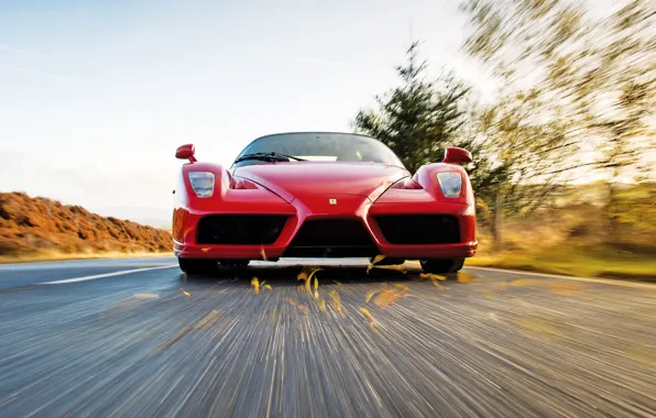 Picture car, Ferrari, Ferrari Enzo, Enzo, speed