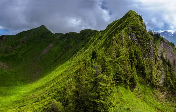 Mountains, nature, green, hills, tops, spring, slope
