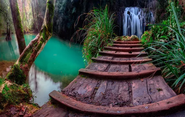 Forest, grass, water, trees, rocks, waterfall, the bridge, Catalonia