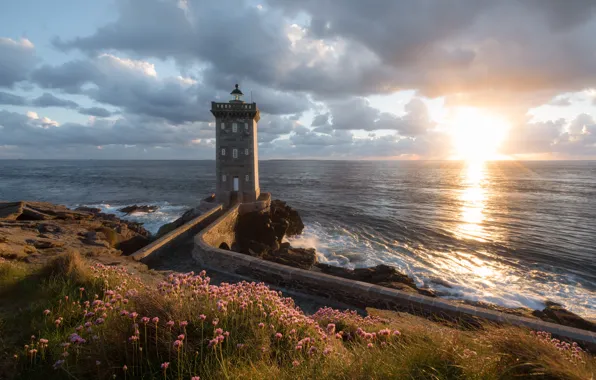 Sunset, flowers, the ocean, coast, France, lighthouse, France, The Atlantic ocean
