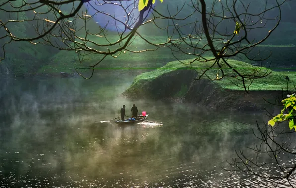 Fog, river, boat, morning, China