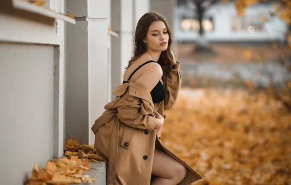 Autumn, look, leaves, girl, pose, brown hair, leg, cloak