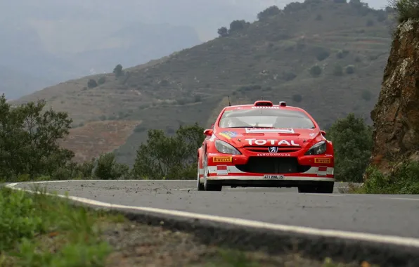 Peugeot, Peugeot, WRC, 307, Rally, Rally
