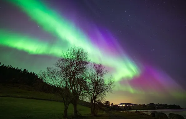 The sky, stars, landscape, night, Northern lights, Aurora Borealis