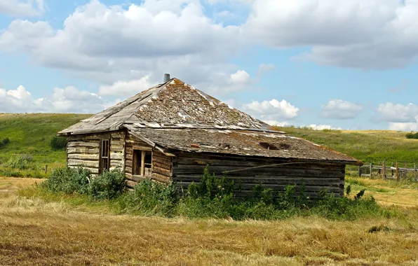 Field, summer, house