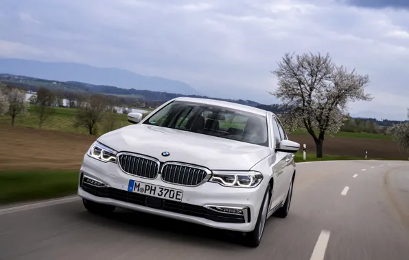 Field, white, BMW, sedan, roadside, hybrid, 5, four-door