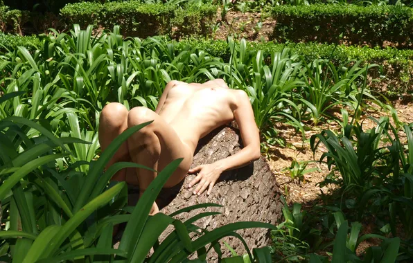 Girl, grass, sexy, erect nipples, legs, nipples, boobs, beautiful