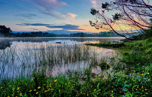 Picture fog, lake, morning, Norway, haze, Norway, Rogaland