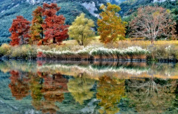 Autumn, trees, reflection