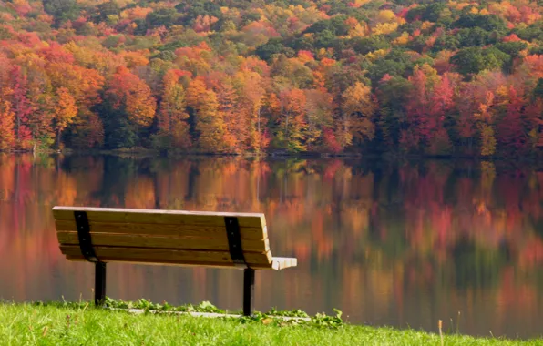 Leaves, trees, landscape, bench, reflection, river, serenity, Autumn