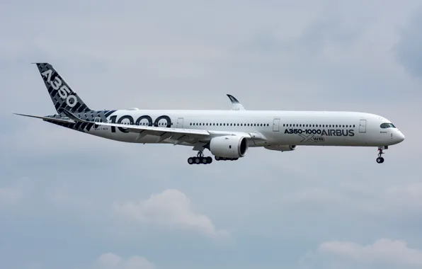 Liner, Airbus, A350-1000
