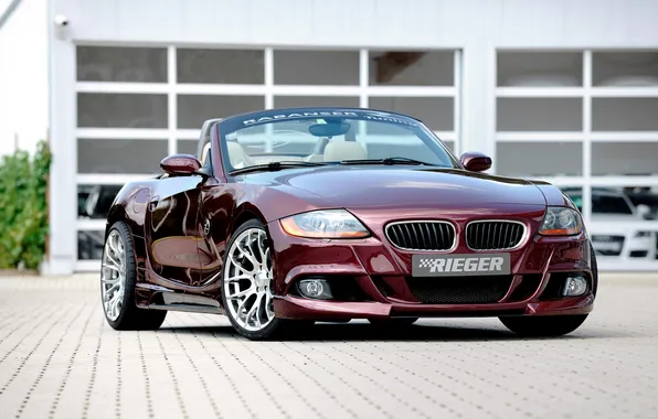 BMW, BMW, 2010, Rieger, E85