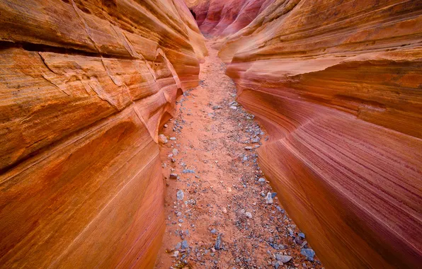 Picture nature, stones, rocks, trail, texture, antelope canyon
