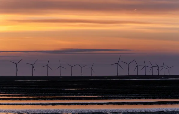 Picture landscape, sunset, windmills