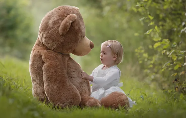 Picture summer, nature, toy, bear, girl, plush, child
