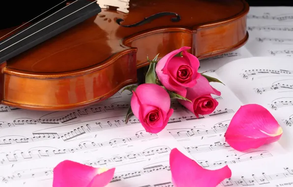 Notes, violin, roses