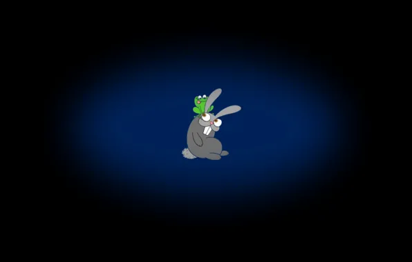 Background, black, hare, frog