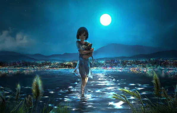 Picture water, night, the city, the moon, girl, kitty