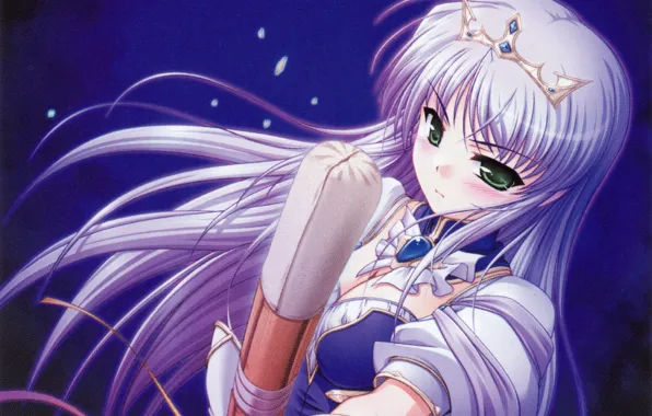 Picture night, sword, crown, blush, art, green eyes, visual novel, bamboo