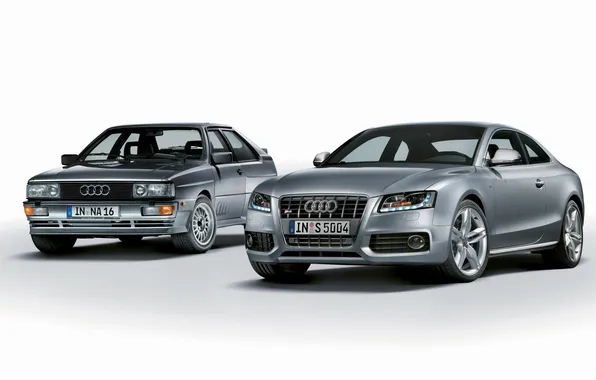 Picture Audi, Audi, coupe, Coupe, Quattro, and, sports cars, mixed
