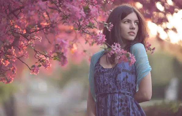 Picture girl, flowers, branches, nature, tree, spring, dress, brown hair