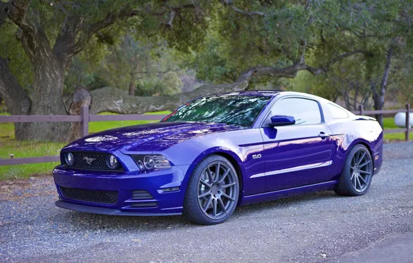 Picture Mustang, Ford, IC-S10, Incurve