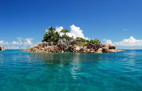 Picture sea, the sky, clouds, trees, stones, palm trees, rocks, island