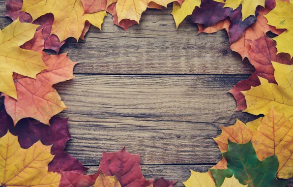 Autumn, leaves, background, Board, colorful, maple, wood, autumn