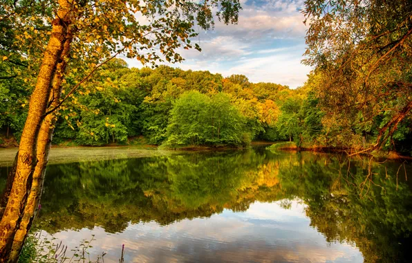 Picture autumn, the sky, trees, reflection, river, shore, foliage