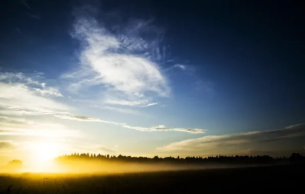 Picture field, forest, summer, the sun, light, landscape, sunset, nature