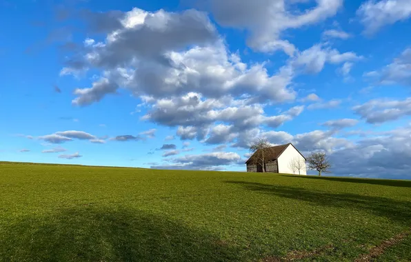 Field, summer, house