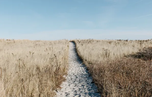 Sand, the sky, grass, nature, trail, shrub, dry grass