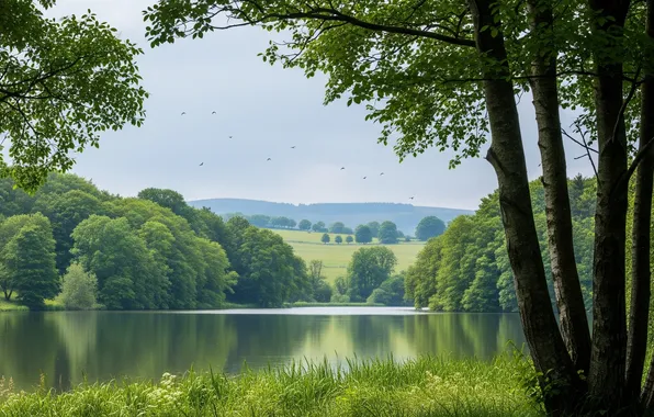 The sky, water, clouds, trees, river, Wallpaper, shore, wallpaper