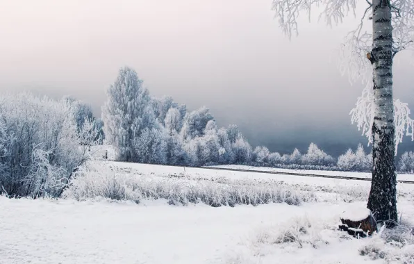 Winter, frost, snow, trees, railroad, Sweden