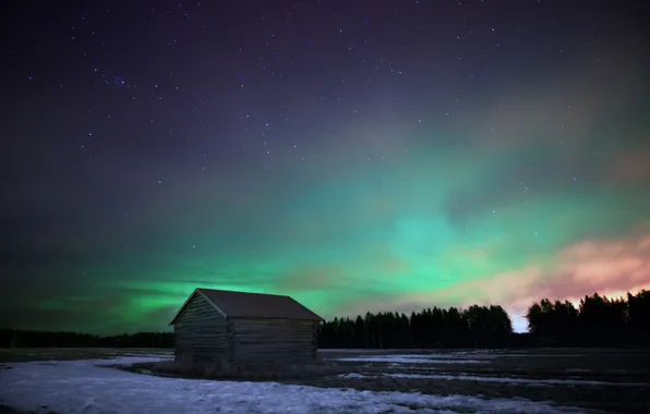 Forest, stars, night, home, Northern lights