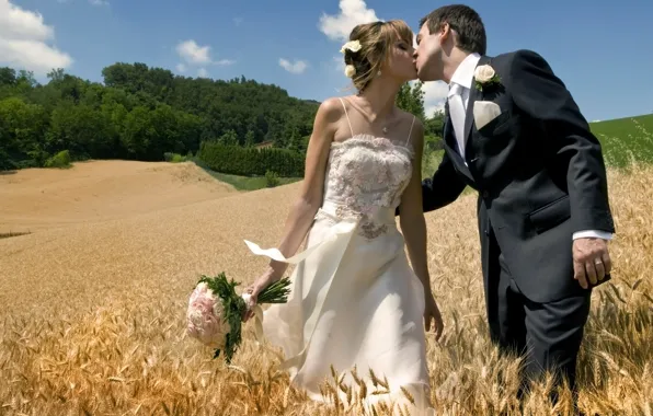 Field, kiss, pair, lovers, two, the bride, wedding, the groom