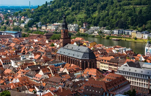 Picture river, building, home, Germany, Church, Cathedral, town, Germany