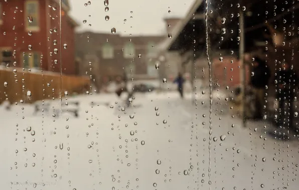 Glass, drops, rain, street