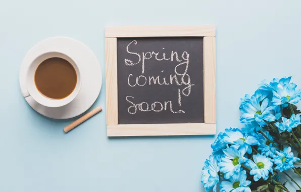 Flowers, Coffee, Drink, Board, Chrysanthemum