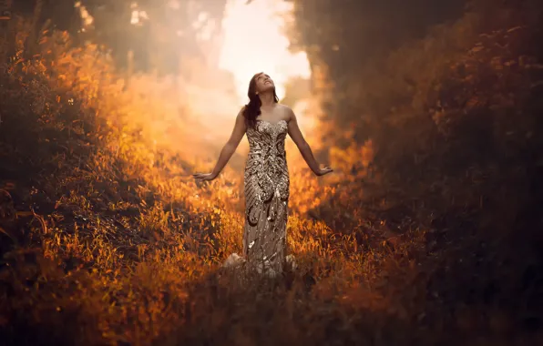 Forest, grass, girl, the sun, morning, dress