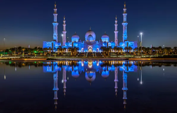 Water, night, lights, reflection, palm trees, lights, Bay, tower