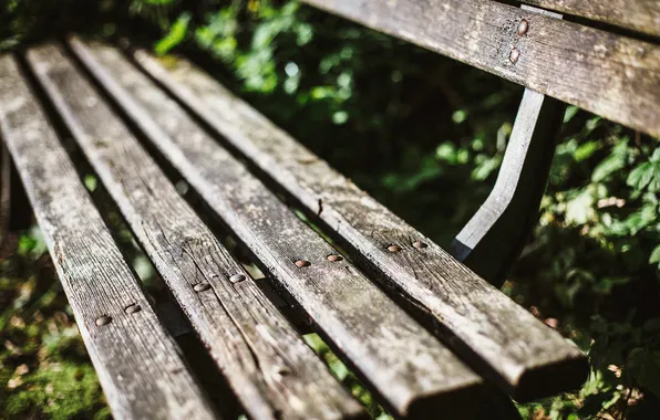 Macro, bench, photographer, photography, photographer, macro, Björn Wunderlich